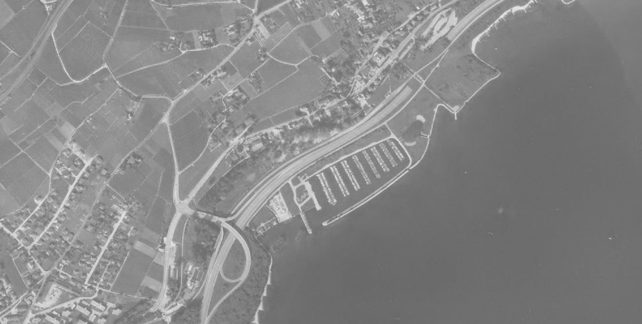 Port 1981